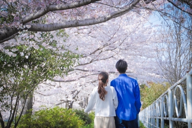 お付き合い開始